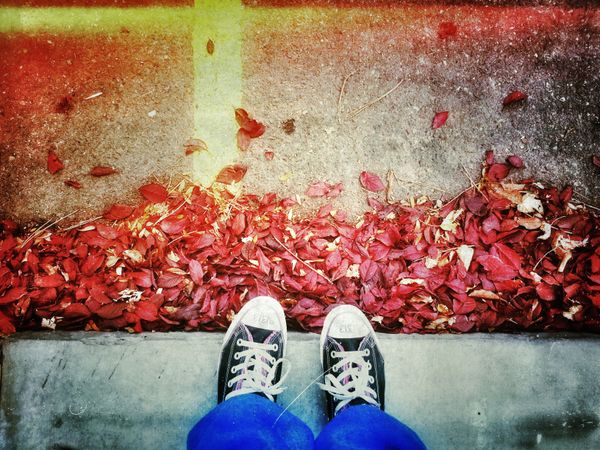 Practice and Performance: Teaching Urban Literature at the Less than Liberal Arts