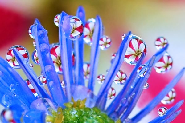 Bonds of Difference: Participation as Inclusion