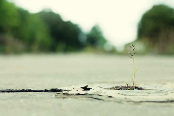 CFP: Critical Digital Pedagogy