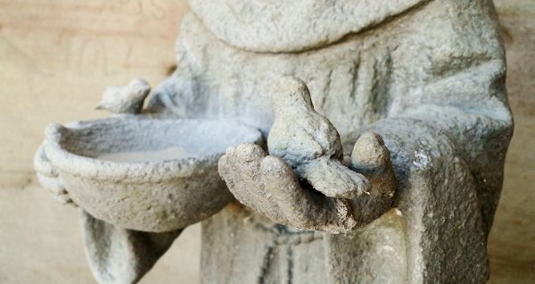 The Phenomenology of Participation: Derrida and the Future of Pedagogy