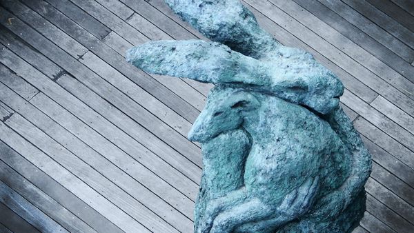 Learning to Let Go: Listening to Students in Discussion