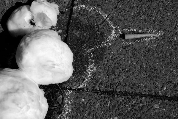 Lossless Learning: an Interview with Jared Stein