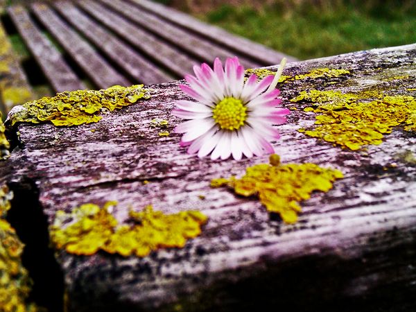 Notes Toward a Live Poetry Journal: Performance and Digital Placemaking in “Verse Wisconsin”