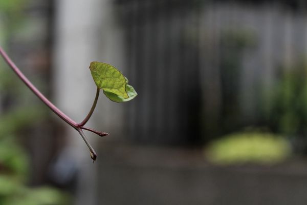 Designing Critically: Feminist Pedagogy for Digital / Real Life