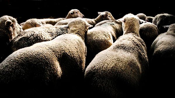 A Misapplication of MOOCs: Critical Pedagogy Writ Massive