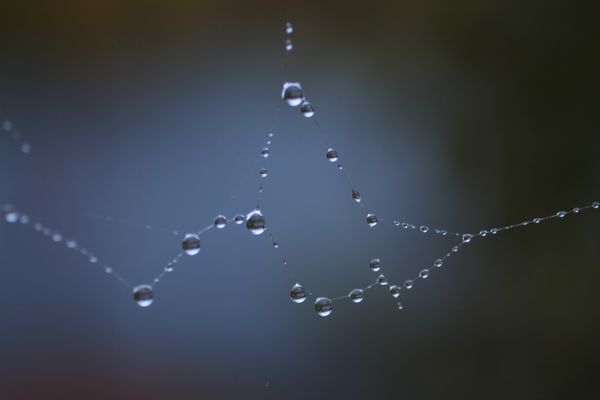 Convivial Tools in an Age of Surveillance