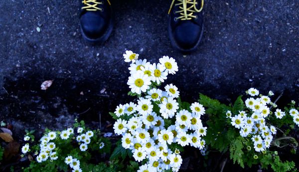 What We Can Learn from Homeschooling