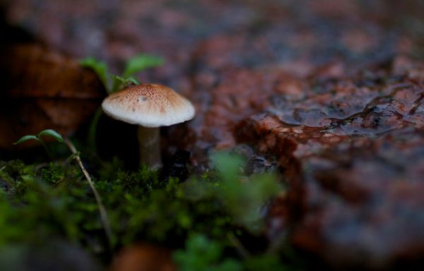 Ecstatic Necessariness: Turmoil as Process in Digital Humanities