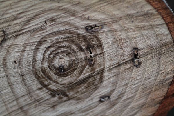 Listening to Students