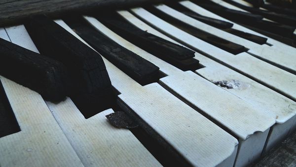 Envisioning the Radical Syllabus: A Critical Approach to Classroom Culture, Part 2