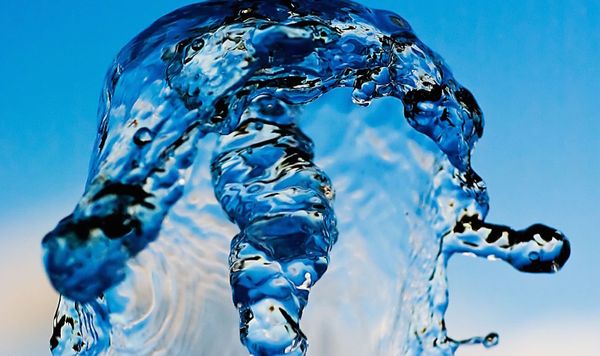 Compassion and Integrity