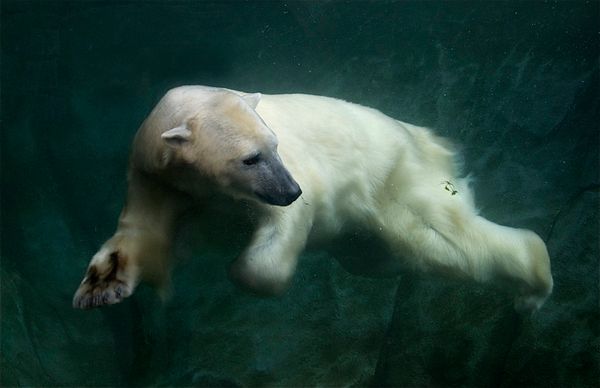 Assessment and Generosity