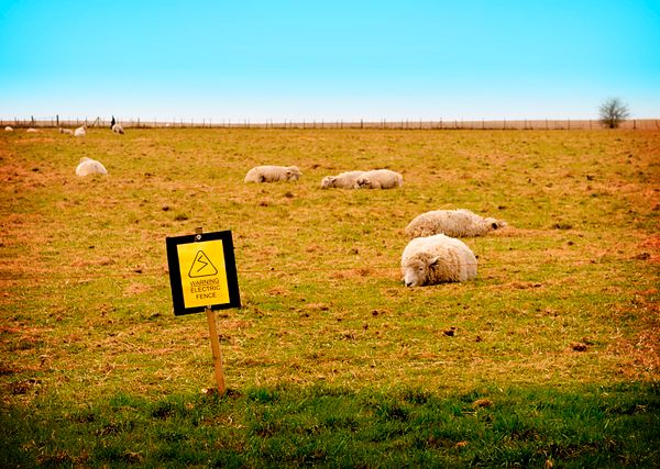 Learning is Not a Mechanism