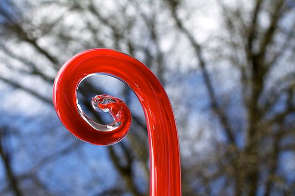 Pedagogy of Care — Gone Massive