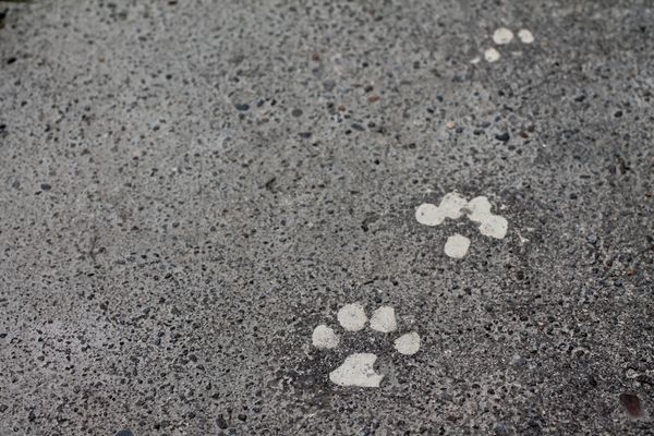 Virtual, Hybrid, or Present? The #et4buddy Conference Experiment