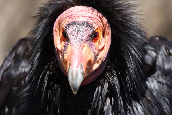 Homework is a Social Justice Issue