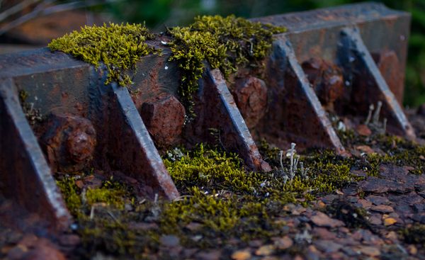 Towards a Critical Approach to Faculty Development