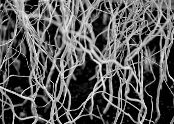 Writing the Unreadable Untext: a Collaborative Autoethnography of #rhizo14