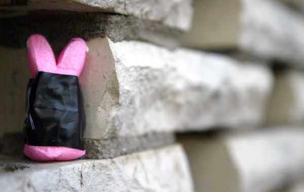 On Labor, Learning Conditions, and Affordable Education