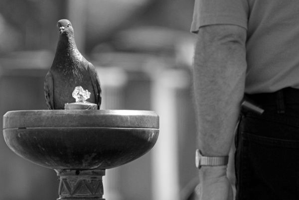 Why Start With Pedagogy? 4 Good Reasons, 4 Good Solutions