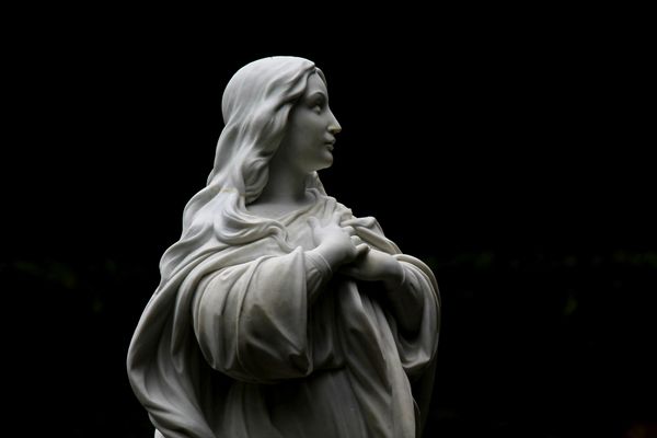 Social Media, Service, and the Perils of Scholarly Affect