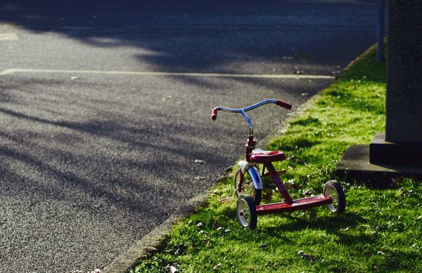 Perspective in Motion