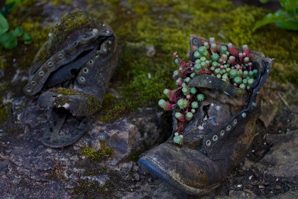 Can You Murder a Novel? Part 2