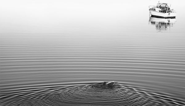 Exploring Innovation