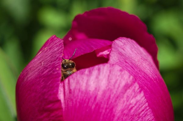 Yearning for Praxis: Writing and Teaching Our Way Out of Oppression