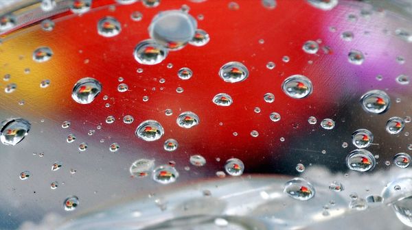 Textual Communities: Writing, Editing, and Generation in Chicana Feminism