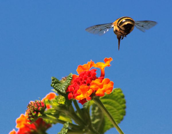 CFP: The Purpose of Education