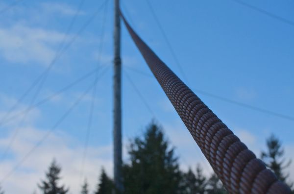 Creating An Empowering School Environment