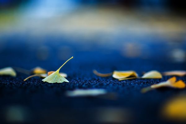 Welding and the Meaning of Life