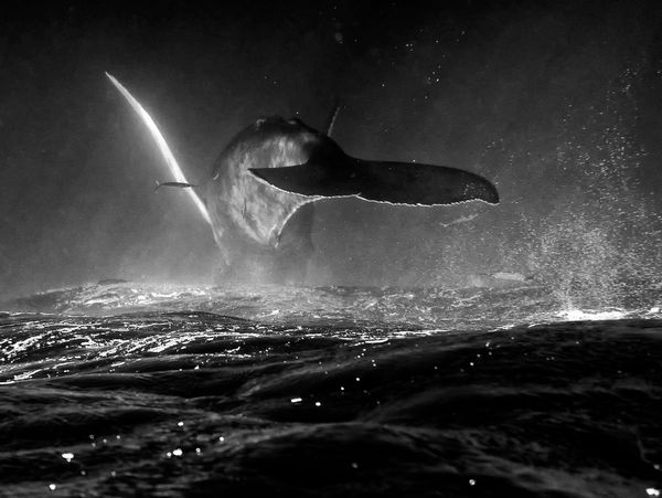 Teaching in Our Right Minds: Critical Digital Pedagogy and the Response to the New