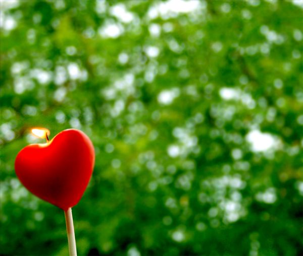 Using a Compass without a Map: The Journey of a Mother-Educator