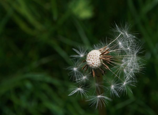 Gifts of the Moment: Learning to Listen and Respond through Improvisation