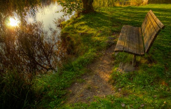 Learning Through Conversation