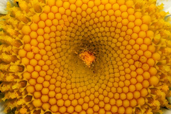 Beyond Surface-Level Digital Pedagogy