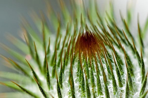 “Hands-Off” Teaching: Facilitating Conversation as Pedagogy in Library Instruction