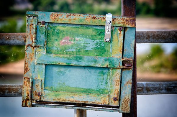 Between Words and Pictures Emerges the Shape of Ideas