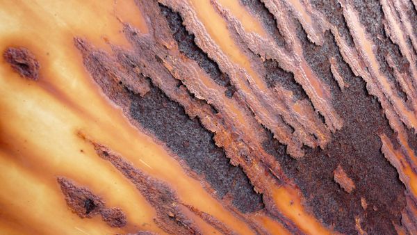 Confessions of a Self-Taught College Instructor: Embracing the Scholarship of Teaching and Learning