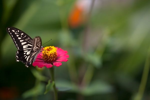 Creativity and the Power of Two