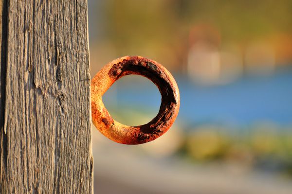 Twessays and Composition in the Digital Age