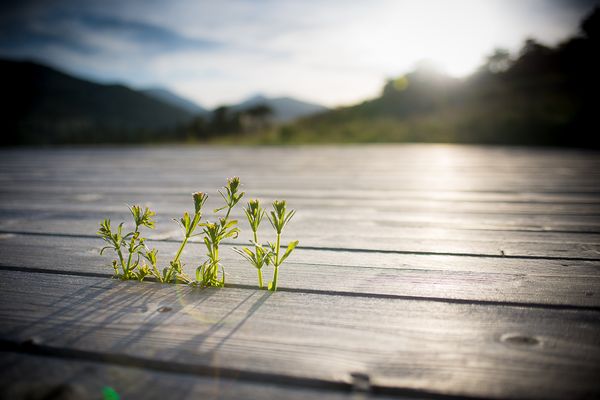 CFP: Politicizing Critical Digital Pedagogy