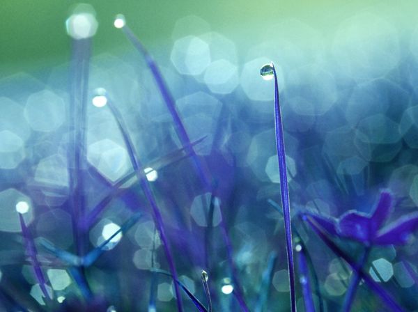 The Pretense of Neutrality: Twitter, Digital Literacy, and First-Year Writing