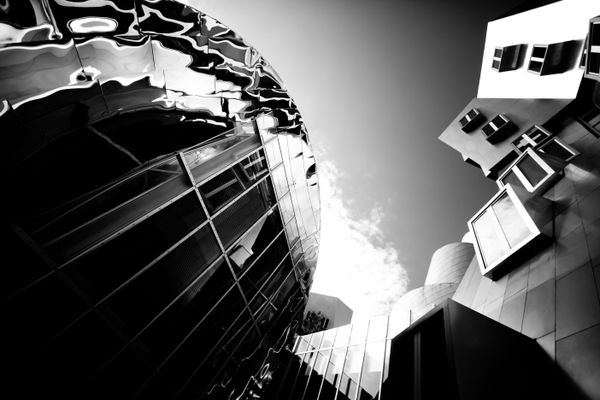 The Ultimate Life Experience: Preparing Students for the World Beyond the Classroom