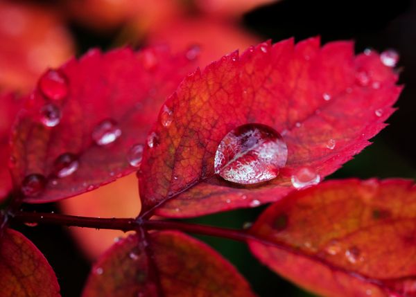 Making the Invisible Visible