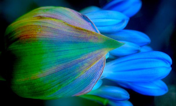 Opening the Classroom: Ownership and Engagement