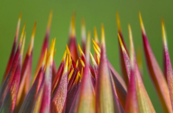 Instructional Designers Are Teachers