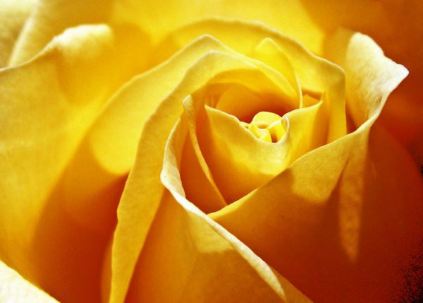 Student Shaming and the Need for Academic Empathy